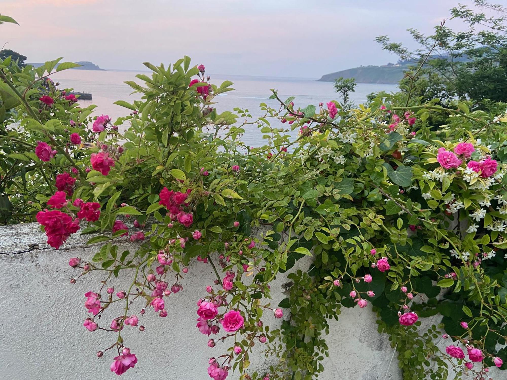 Mundaka Beachfront House Экстерьер фото
